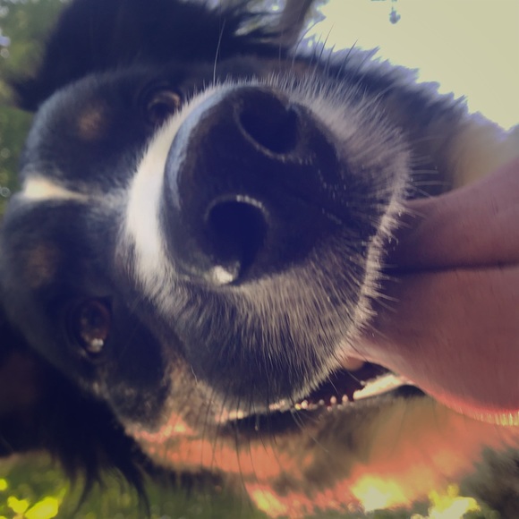 Meet your Posher, Marissa - Picture 1 of 1